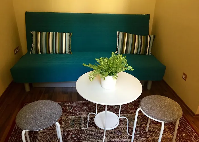 Entire Luxury Apartment In The City Center